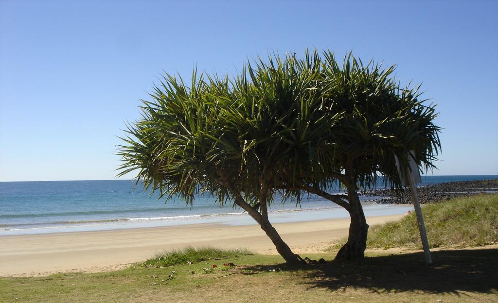 Koola Beach Apartments Bargara Buitenkant foto